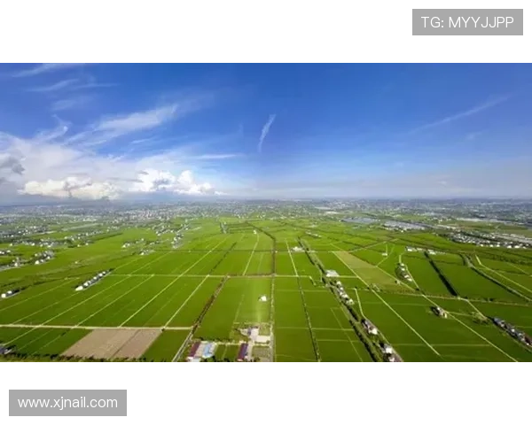 策默特式角旗庆祝蔓延全球 各地纷纷效仿