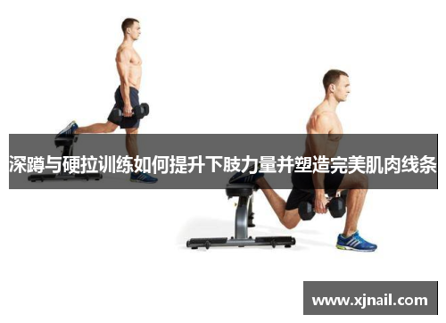 深蹲与硬拉训练如何提升下肢力量并塑造完美肌肉线条